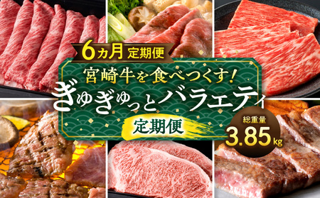 宮崎牛を食べつくす!ぎゅぎゅっとバラエティ定期便(総重量3.85kg) 牛肉 焼肉 しゃぶしゃぶ ステーキ