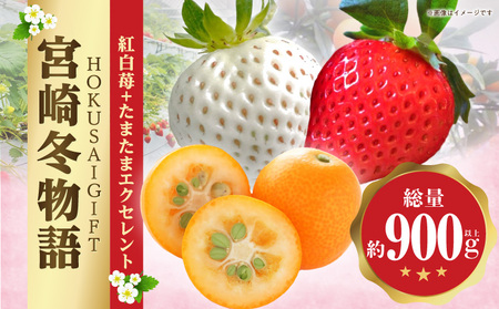 [2026年発送][数量・期間限定]宮崎冬物語HOKUSAIGIFT紅白苺+たまたまエクセレント 苺 いちご イチゴ おおきみ おおきみいちご 白イチゴ 白 白いちご きんかん キンカン エクセレント 柑橘類 柑橘 果物 くだもの フルーツ ギフト 贈り物 贈答