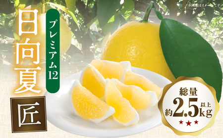 [2026年発送先行予約][数量・期間限定]日向夏「匠」プレミアム12 甘い 酸っぱい 完熟