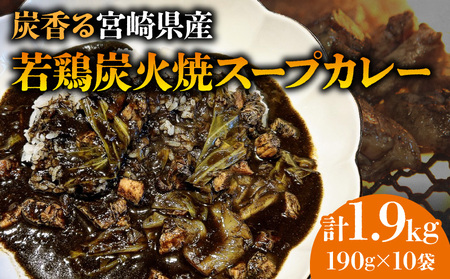 炭香る宮崎県産若どり炭火焼スープカレー[190g×10袋 計1.9kg] カレー スープカレー レトルト