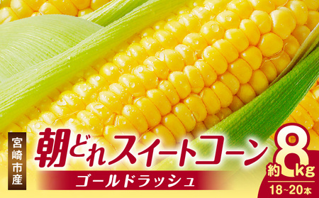 [2026年発送先行予約][数量・期間限定]宮崎市産朝どれスイートコーン(ゴールドラッシュ)約8kg とうもろこし トウモロコシ スイートコーン