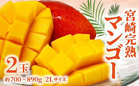 [期間限定]宮崎完熟マンゴー 約700〜890g 2Lサイズ(2玉)_ フルーツ お土産 冷蔵