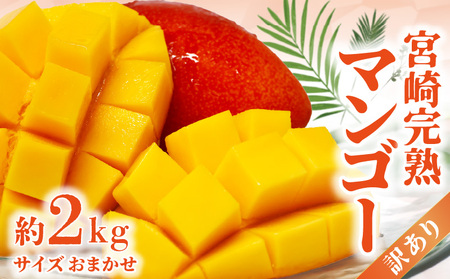 [期間限定]訳あり 宮崎完熟マンゴー 約2kg サイズおまかせ くだもの 完熟 フルーツ