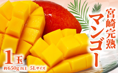 [期間限定]宮崎完熟マンゴー 650g以上 5Lサイズ(1玉) 果物 フルーツ マンゴー