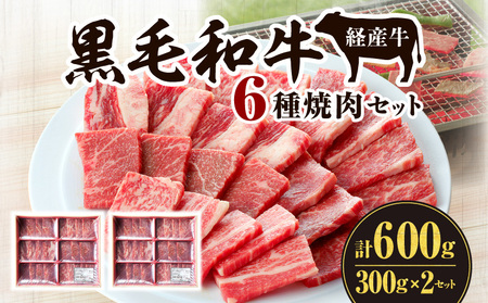 黒毛和牛(経産牛)6種焼肉セット300g × 2(計600g) 焼肉 牛 黒毛和牛