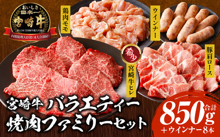 宮崎牛 バラエティー焼肉ファミリーセット 牛肉 豚肉 鶏肉