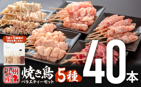 九州産若鶏 焼き鳥5種(40本)バラエティーセット 焼鳥 鶏肉 小分け