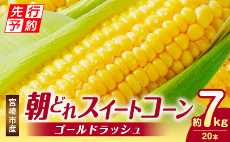 [2025年発送先行予約]宮崎市産朝どれスイートコーン(ゴールドラッシュ)約7kg 野菜 甘い 新鮮