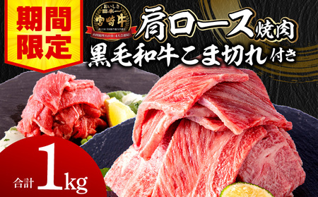 [期間限定]宮崎牛肩ロース焼肉400g×2 宮崎県産黒毛和牛小間切れ100g×2 合計1kg 牛肉 宮崎牛 黒毛和牛