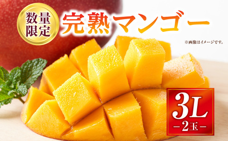 s2026Ns\tyʁEԌzn}S[ 3LTCY 2 n Ö 썑