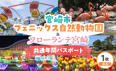 宮崎市フェニックス自然動物園&フローランテ宮崎共通年間パスポート(小人) イベント 動物園 自然