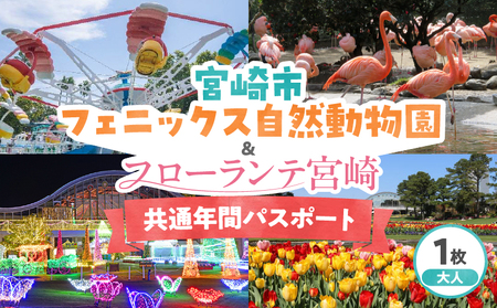 宮崎市フェニックス自然動物園&フローランテ宮崎共通年間パスポート(大人) イベント 動物園 自然