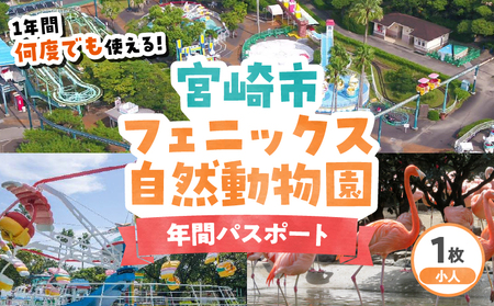 宮崎市フェニックス自然動物園年間パスポート(小人) イベント 動物園 入園券