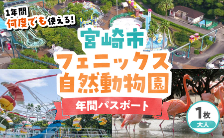 宮崎市フェニックス自然動物園年間パスポート(大人) イベント 動物園 入園券