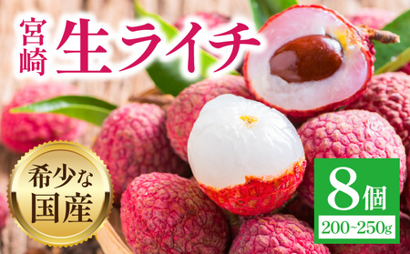 [2026年発送先行予約][数量・期間限定]宮崎生ライチ 新鮮 果実 濃厚