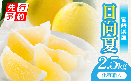 [2026年発送先行予約][期間・数量限定]宮崎県産日向夏2.5kg 化粧箱入り フルーツ 柑橘 日向夏