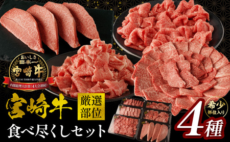 宮崎牛厳選部位食べ尽くしセット 肉 牛 牛肉