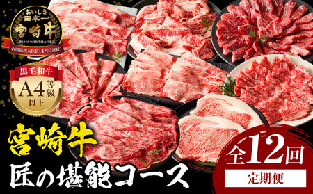 [定期便全12回]宮崎牛 匠の堪能コース 牛肉 焼肉 ステーキ