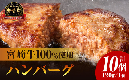 宮崎牛100%ハンバーグ 肉料理 お肉 冷凍