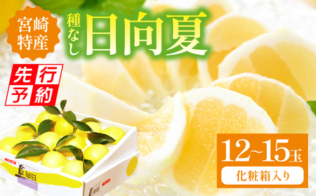 [先行予約][期間・数量限定]宮崎特産 日向夏 果物 柑橘 フルーツ