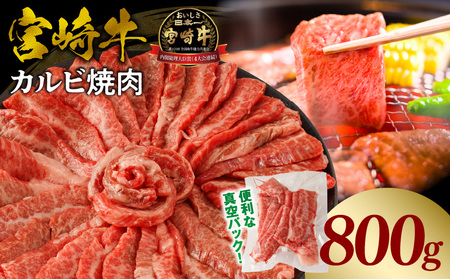 {苍Jr(o)ē v800g o јa Y