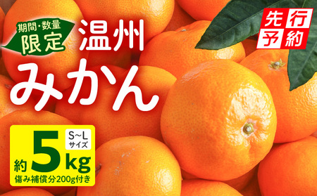 [2025年発送先行予約][期間・数量限定]温州みかん5kg(傷み補償分200g付き) 果物 ミカン 柑橘