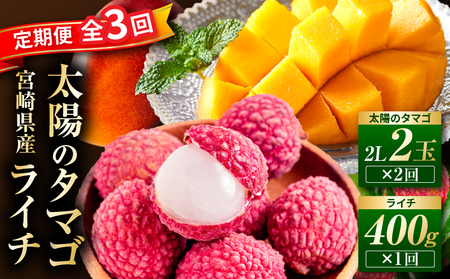 �s2026�N������s�\��t�y���ʁE���Ԍ���z�y�S3��z���z�̃^�}�S�E���C�`����� �}���S�[ �{��}���S�[ ���C�` ����� �ʕ������ �ʕ� �t���[�c����� �t���[�c �f�U�[�g