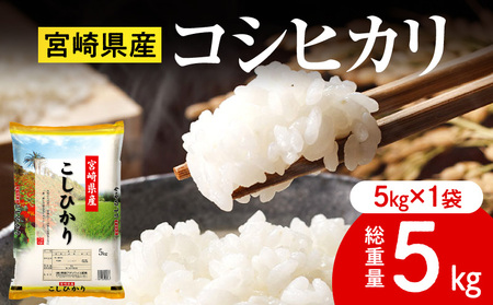 �s�ߘa7�N�Y�t�{�茧�Y�R�V�q�J�� ���v5kg(5kg×1��) ���� ���� �V��