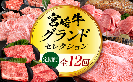 [全12回定期便]宮崎牛グランドセレクション 肩ロース ペッパーハンバーグ 焼肉