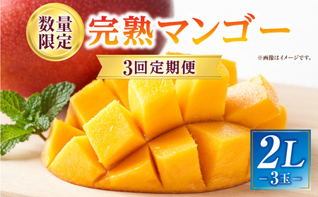 [2026年発送先行予約][数量・期間限定]3回定期便 2L3玉完熟マンゴーコース 宮崎特産 完熟マンゴー マンゴー 糖度13度 糖度14度 南国 フルーツ 定期便 果物 くだもの 数量限定 期間限定