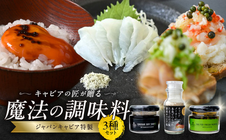 ジャパンキャビア特製 キャビアの匠が贈る魔法の調味料3種セット 生胡椒オリーブオイル漬け 醤油 塩 粒生胡椒 エクストラバージンオイル 熟成醤油 宮崎1983 熟成 だし塩 たまごかけごはん 刺身 冷奴 パスタ