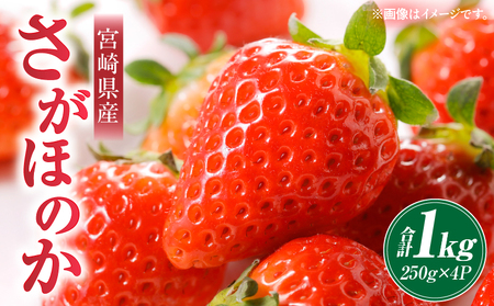 [2026年発送][数量・期間限定]宮崎県産さがほのか 約1kg いちご 苺 フルーツ