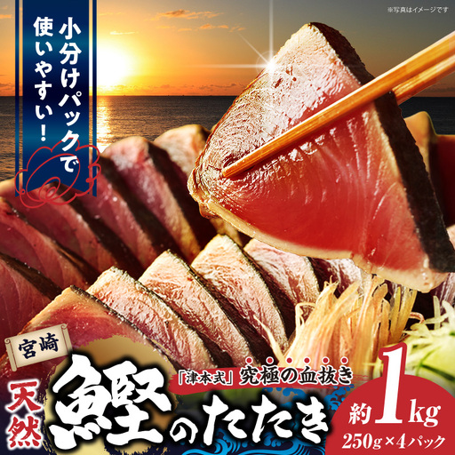 宮崎市獲れ！天然カツオのたたき カツオ タタキ 魚
