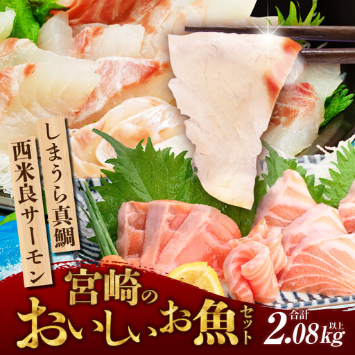 宮崎のおいしいお魚セット