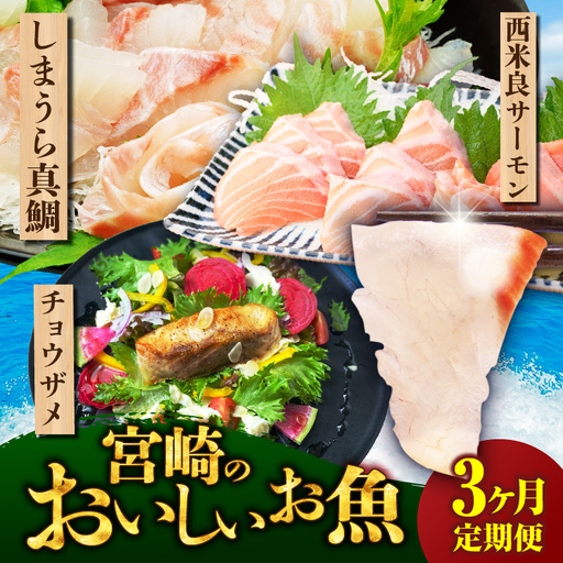 宮崎のおいしいお魚 3ヶ月定期便