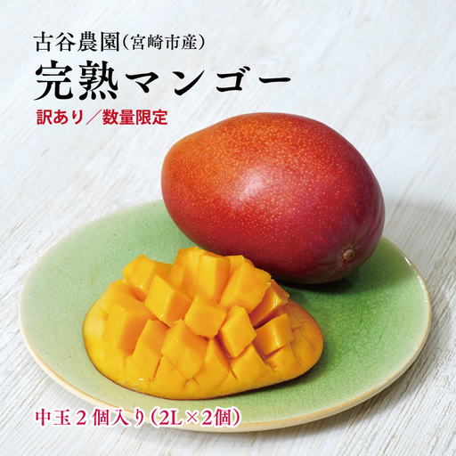 [2026年発送先行予約][数量・期間限定][訳あり]古谷農園の宮崎完熟マンゴー 中玉2個セット マンゴー 果物 フルーツ