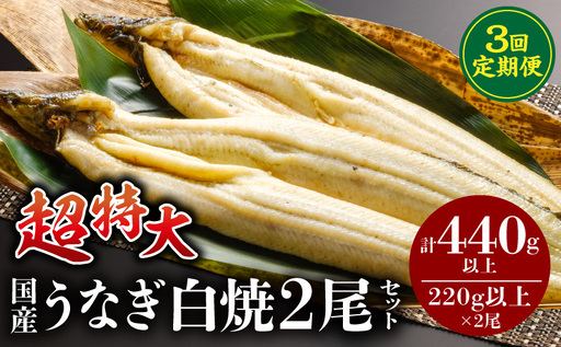 [3回定期便]うなぎ白焼(超特大サイズ)2尾