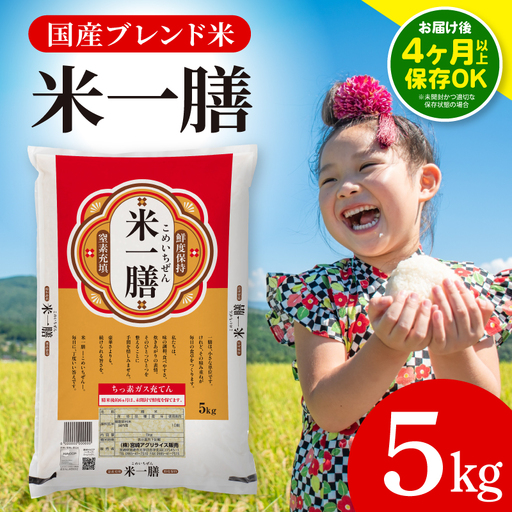 国産ブレンド米 「米一膳」5kg 米