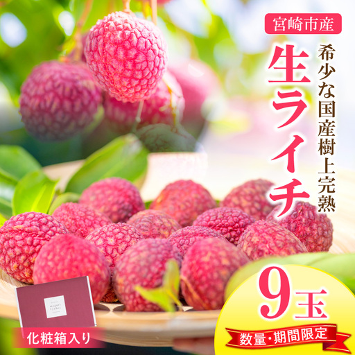 ライチ 9玉 ライチ [2026年発送 宮崎市産 生ライチ 1玉40g以上]