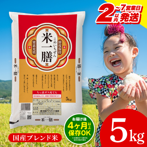 米 5kg 米[2～7営業日以内に発送予定]