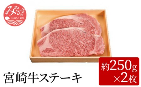 宮崎牛ステーキ(約250g×2枚) 肉 牛 牛肉