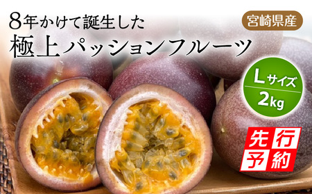期間・数量限定８年かけて誕生した宮崎県産極上パッションフルーツ　Ｌ　2kg 2024年発送