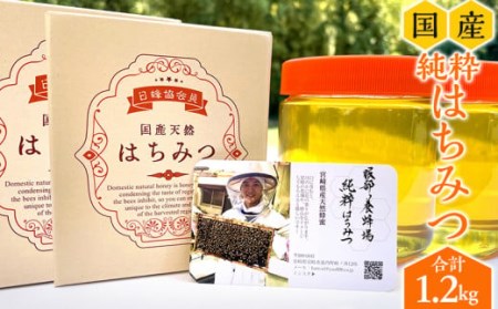 数量限定 宮崎県産純粋ハチミツ(600g×2本) はちみつ 純粋 蜂