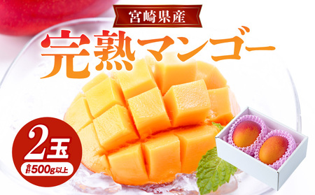 宮崎県産完熟マンゴー2玉(計 約500g以上) 　マンゴー 宮崎マンゴー 完熟マンゴー みやざきマンゴー