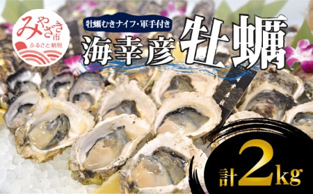 【生牡蠣】宮崎県青島産 海幸彦牡蠣(うみさちひこかき)生牡蠣2kg 牡蠣むきナイフ・軍手付き
