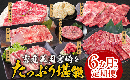 定期便｜畜産王国宮崎をたっぷり堪能 6ヵ月コース定期便　肉 牛 豚 牛肉 豚肉