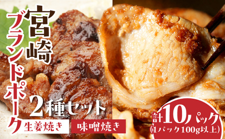 宮崎ブランドポーク2種セット 生姜焼き・味噌焼きセット 計10パック(1パック100g以上)