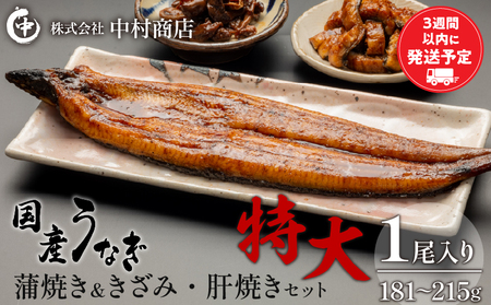 国産うなぎ蒲焼き特大サイズ(181〜215g)・きざみ・肝焼きセット 国産 うなぎ 蒲焼き タレ 冬うなぎ 冬鰻