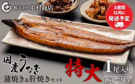 国産うなぎ 蒲焼き 特大サイズ(181〜215g)・肝焼きセット 国産鰻 お吸い物 お土産