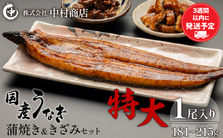国産うなぎ蒲焼き特大サイズ(181〜215g)・蒲焼きざみセット